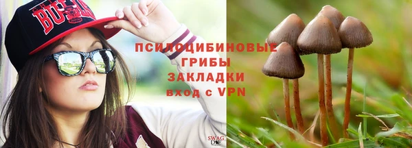 мет Елабуга