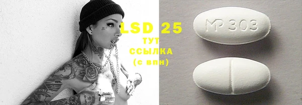мет Елабуга