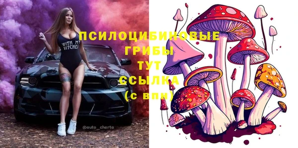 мет Елабуга