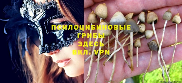 мет Елабуга