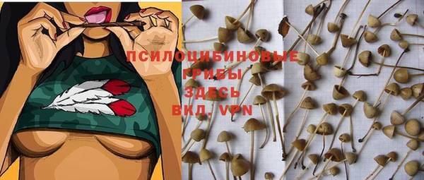 2c-b Ельня