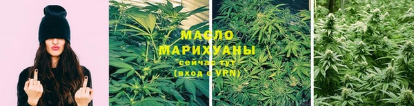 мет Елабуга