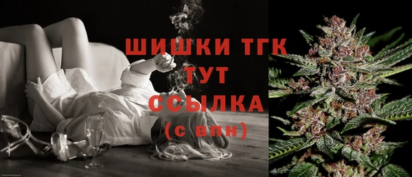 мет Елабуга